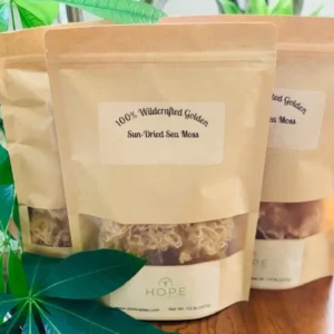 100% Wildcrafted Golden Irish Sea Moss